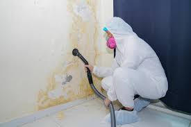 Best Mold Remediation for Healthcare Facilities  in Morristown, IN